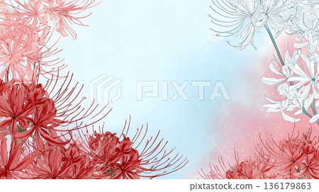 Watercolor frame background of red spider lilies 136179863