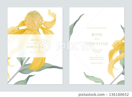 Floral wedding invitation card template design, Cutleaf coneflower with leaves on white 136180632