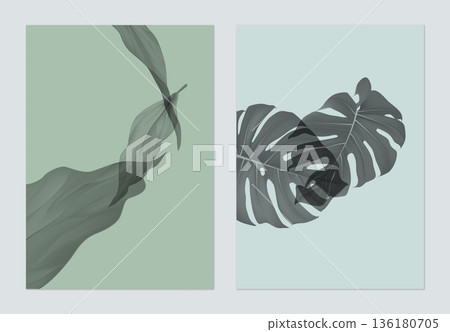 Botany poster template design, various monochrome leaves on green and blue 136180705