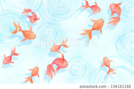 許多金魚在清涼的水彩水背景中游動_橫向 許多金魚在清涼的水彩水背景中游動_橫向 136181198