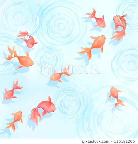 Many goldfish swimming in cool watercolor water background_square Many goldfish swimming in cool watercolor water background_square 136181200