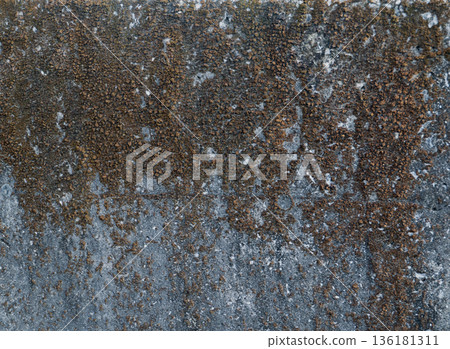 concrete wall with moss 136181311