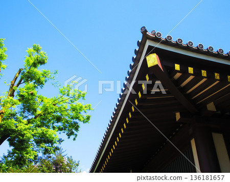 Various views of Nishiarai Daishi (Adachi Ward, Tokyo) Various views of Nishiarai Daishi (Adachi Ward, Tokyo) 136181657