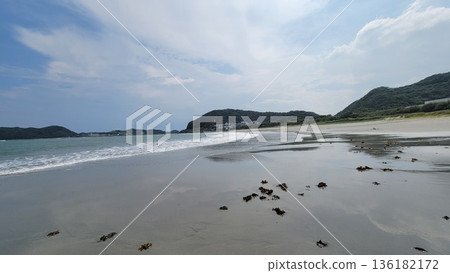 Ryugu's Shore View 202208 (17) 136182172