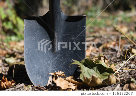 Outdoor Garden Shovel Resting in Dirt With Fallen Leaves and Muddy Ground Outdoor Garden Shovel Resting in Dirt With Fallen Leaves and Muddy Ground 136182267