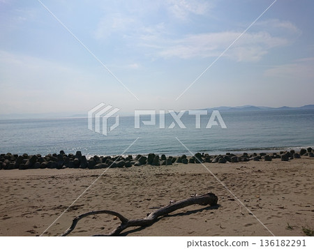 漂流木 2021年9月 (5) 漂流木 2021年9月 (5) 136182291