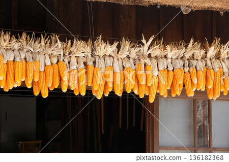 Corn hanging under the eaves of an old house Corn hanging under the eaves of an old house 136182368