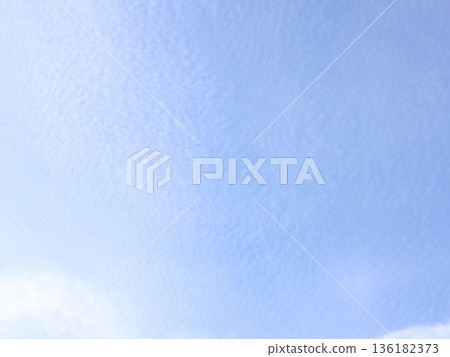 Blue Sky 202202 (2) 136182373