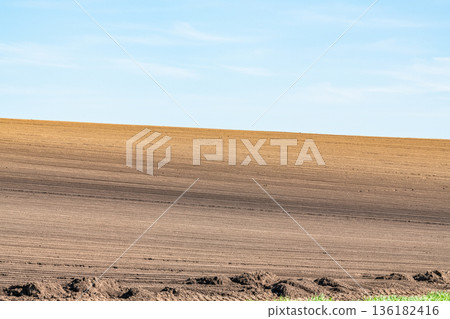 Leveled field (image of field) Leveled field (image of field) 136182416