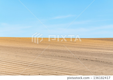 Leveled field (image of field) Leveled field (image of field) 136182417
