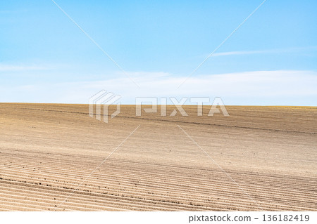 Leveled field (image of field) Leveled field (image of field) 136182419