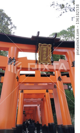 Senbon Torii Senbon Torii 136182538