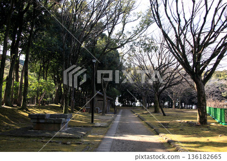 Kumamoto's tourist attraction: Scenery of the lush walking path around the Kumamoto Castle ruins 136182665