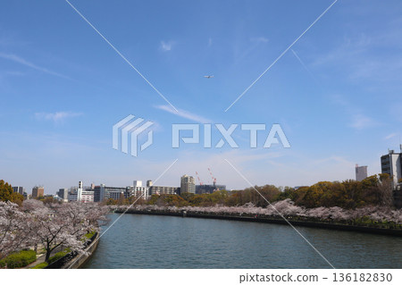 Sakura 32 2021 Sakura 32 2021 136182830