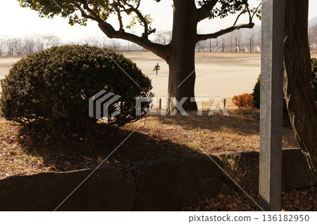 操場和棒球男孩 操場和棒球男孩 136182950