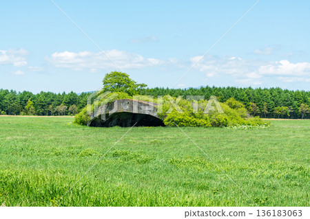 Betsukai Town, Hokkaido, Former Army Kanebetsu No. 1 Airfield, Covered Bunker No. 1 Betsukai Town, Hokkaido, Former Army Kanebetsu No. 1 Airfield, Covered Bunker No. 1 136183063