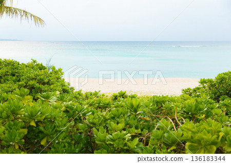 熱帶海灘景色,綠樹環繞 熱帶海灘景色,綠樹環繞 136183344