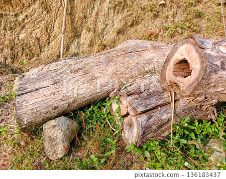 portrait of pile of old wood lying in field portrait of pile of old wood lying in field 136183437