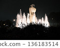 Lights up fountain 136183514