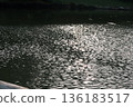 Sunlight reflecting on the water surface 136183517
