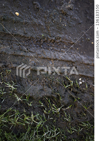 Wet Grass And Soil After Rain, A fresh photo of wet grass and soil after rain, glistening green blades and dark earth in light, for nature renewal or rain documentary. Wet Grass And Soil After Rain, A fresh photo of wet grass and soil after rain, glistening green blades and dark earth in light, for nature renewal or rain documentary. 136183550