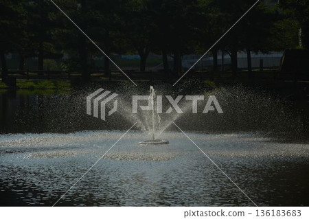 A park with a fountain 136183683