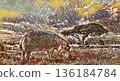 Hippopotamus on a savanna 136184784