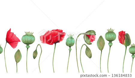 Watercolor seamless horizontal border with vertically arranged poppy, buds, seed pod. Wild Poppy Festival. Hand drawn botanical art. Day of Remembrance and Mourning. Banner for packaging, invitations 136184833