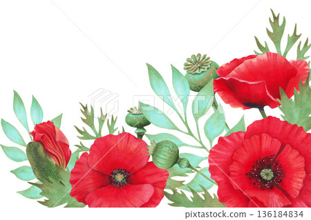 Horizontal frame with poppies, buds and seed pods. Wild Poppy Festival. Hand drawn botanical watercolor art. Remembrance and Mourning Day. Template for packaging, invitations and printed materials 136184834