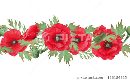 Watercolor seamless horizontal border with poppy flowers, buds and seed pods. Wild Poppy Festival. Hand drawn botanical art. Day of Remembrance and Mourning. Banner for packaging, textiles, printing 136184835