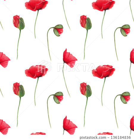 Seamless pattern of red poppies with buds on stems. Watercolor botanical illustration. Wild poppy festival. Hand-drawn isolated background. Remembrance, spring, and Labor Day. For fabric and textiles Seamless pattern of red poppies with buds on stems. Watercolor botanical illustration. Wild poppy festival. Hand-drawn isolated background. Remembrance, spring, and Labor Day. For fabric and textiles 136184836