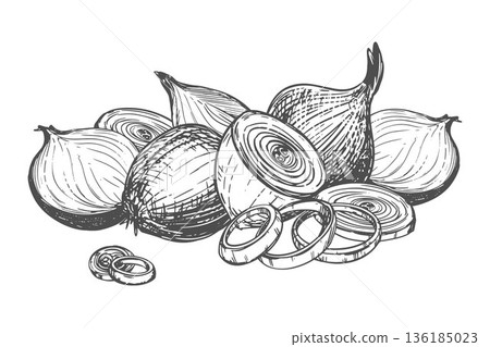 Shallot vector composition. A group of whole and peeled onions, round pieces, and rings. Sketch, ink outline. Aromatic spice on a white background. Shallot vector composition. A group of whole and peeled onions, round pieces, and rings. Sketch, ink outline. Aromatic spice on a white background. 136185023