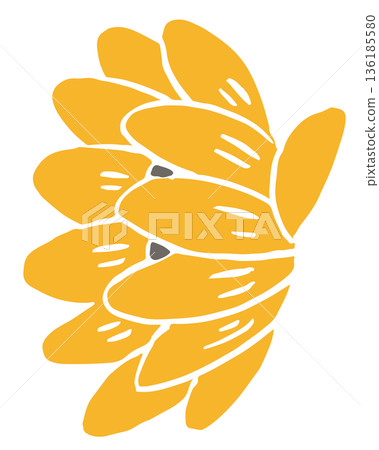 父親節花卉向量插圖 | 六月感謝禮物與廣告用花卉設計素材 136185580