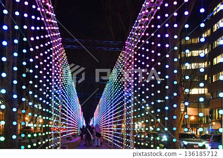 Sendai Bright Nights, the New Winter Illumination in Sendai, the City of Trees Sendai Bright Nights, the New Winter Illumination in Sendai, the City of Trees 136185712
