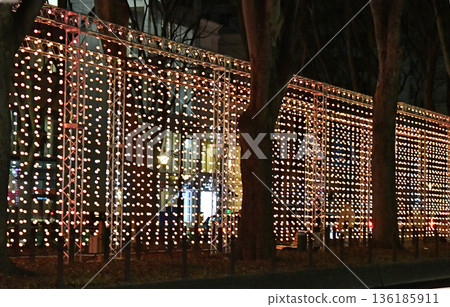 Sendai Bright Nights, the New Winter Illumination in Sendai, the City of Trees Sendai Bright Nights, the New Winter Illumination in Sendai, the City of Trees 136185911