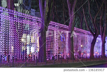 Sendai Bright Nights, the New Winter Illumination in Sendai, the City of Trees Sendai Bright Nights, the New Winter Illumination in Sendai, the City of Trees 136185917