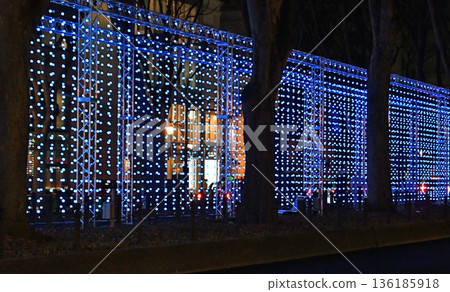 Sendai Bright Nights, the New Winter Illumination in Sendai, the City of Trees Sendai Bright Nights, the New Winter Illumination in Sendai, the City of Trees 136185918