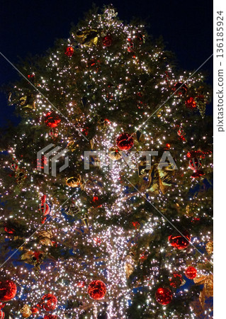 Christmas attire Christmas attire 136185924