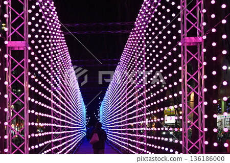 Sendai Bright Nights, the New Winter Illumination in Sendai, the City of Trees 136186000