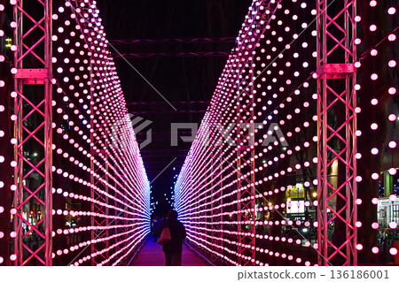 Sendai Bright Nights, the New Winter Illumination in Sendai, the City of Trees Sendai Bright Nights, the New Winter Illumination in Sendai, the City of Trees 136186001