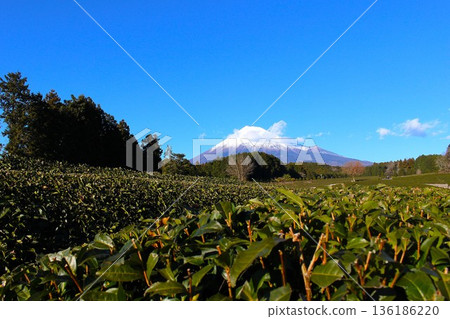 A spectacular view of Obuchi Sasaba in winter and snow-capped Mount Fuji (Fuji City, Shizuoka Prefecture) A spectacular view of Obuchi Sasaba in winter and snow-capped Mount Fuji (Fuji City, Shizuoka Prefecture) 136186220
