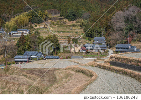 奈良縣飛鳥村的冬季梯田 奈良縣飛鳥村的冬季梯田 136186248