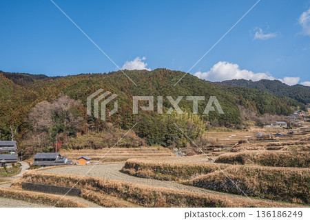 奈良縣飛鳥村的冬季梯田 136186249
