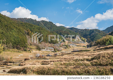奈良縣飛鳥村的冬季梯田 136186250