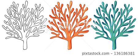 Vector Illustration Set of Sea Coral in Outline and Color Vector Illustration Set of Sea Coral in Outline and Color 136186381