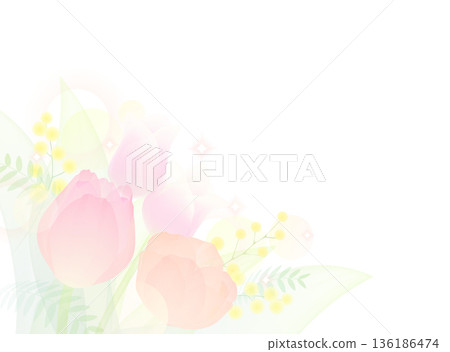 鬱金香與含羞草插圖 鬱金香與含羞草插圖 136186474