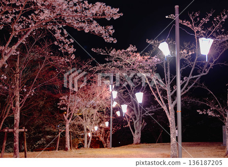 Nishiyama Park (near Nishiyamaso) Nishiyama Park (near Nishiyamaso) 136187205