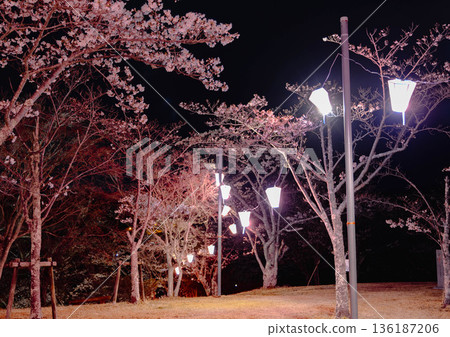 西山公園(西山莊附近) 西山公園(西山莊附近) 136187206