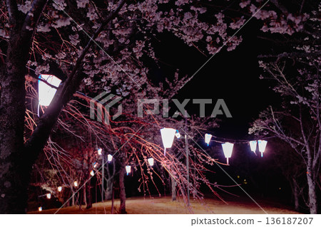 西山公園(西山莊附近) 西山公園(西山莊附近) 136187207