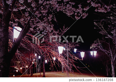 西山公園(西山莊附近) 西山公園(西山莊附近) 136187208